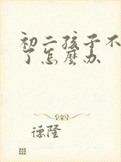 初二孩子不上学了怎么办