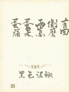 蛋蛋两侧有点胀痛是怎么回事封面
