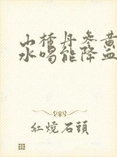 山楂丹参黄芪泡水喝能降血脂吗封面