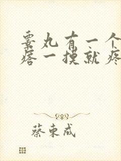 睾丸有一个小疙瘩一摸就疼