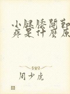 小腿膝关节后面疼是什么原因