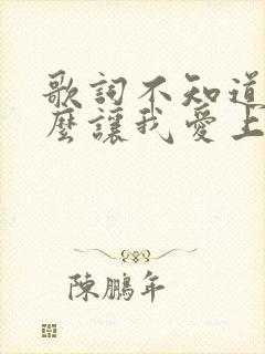 歌词不知道为什么让我爱上你是什么歌