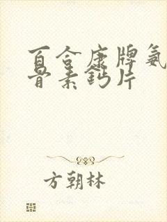 百合康牌氨糖软骨素钙片