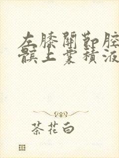 左膝关节腔内及髌上囊积液封面