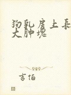 狗乳房上长了个大肿块