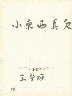 小东西真欠弄