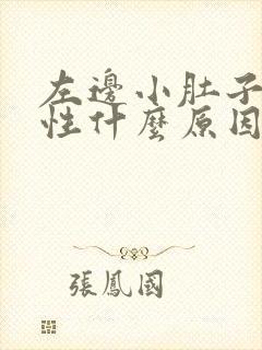 左边小肚子痛女性什么原因引起的