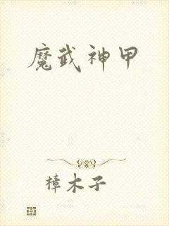 魔武神甲封面