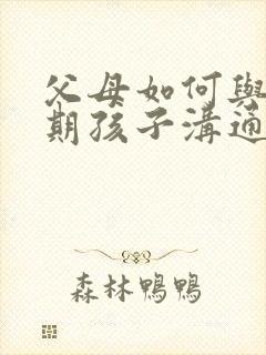 父母如何与叛逆期孩子沟通
