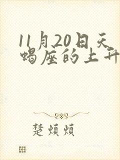 11月20日天蝎座的上升星座封面