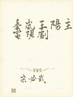 秦岚王阳主演的电视剧封面