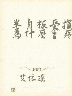 半月板受损膝盖为什么会疼