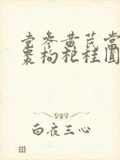 党参黄芪当归红枣枸杞桂圆