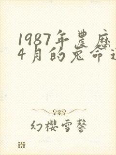 1987年农历4月的兔命运如何封面