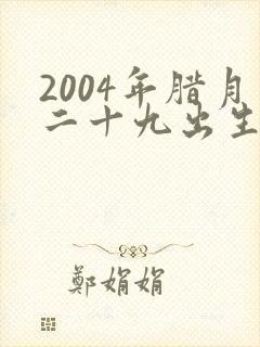 2004年腊月二十九出生的人是什么命