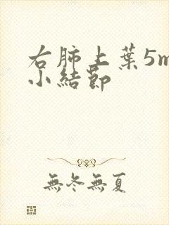 右肺上叶5mm小结节封面