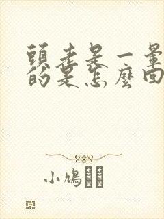 头老是一晕一晕的是怎么回事