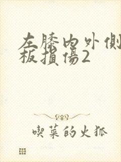 左膝内外侧半月板损伤2