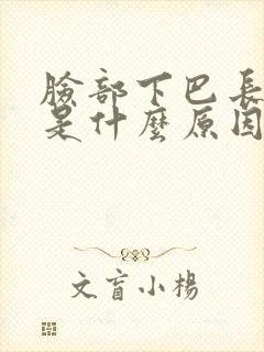 脸部下巴长痘痘是什么原因引起的