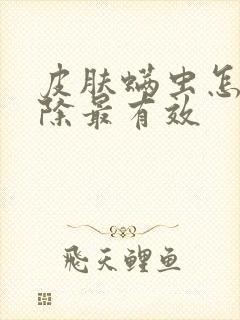 皮肤螨虫怎么去除最有效封面