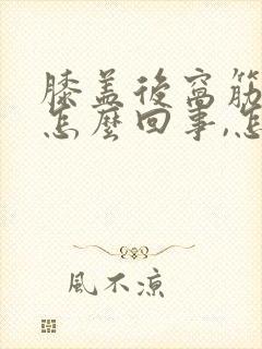 膝盖后窝筋疼是怎么回事,怎么治疗封面