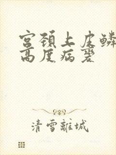 宫颈上皮鳞状内高度病变