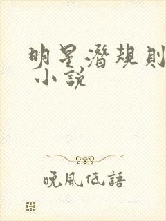 明星潜规则之皇 小说