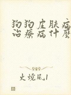 狗狗皮肤病怎么治疗病什么药最有效封面