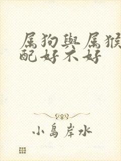 属狗与属猴的婚配好不好