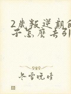 2岁叛逆期的孩子怎么去引导