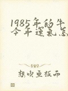 1985年的牛今年运气怎么样