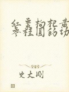 红枣枸杞黄芪党参桂圆的功效与作用封面