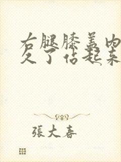 右腿膝盖内侧蹲久了站起来就疼封面