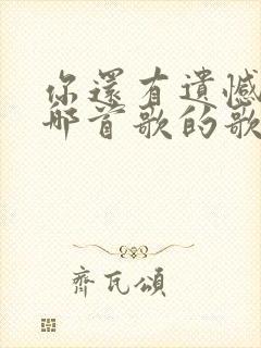 你还有遗憾吗是哪首歌的歌词