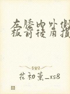 左膝内外侧半月板前后角损伤二度