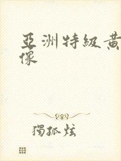 亚洲特级黄色录像
