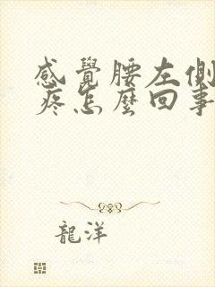 感觉腰左侧里面疼怎么回事封面