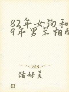 82年女狗和79年男羊相配婚姻如何封面
