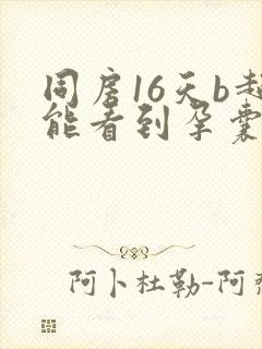 同房16天b超能看到孕囊吗