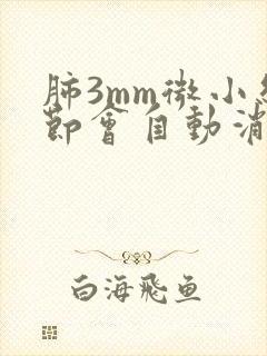 肺3mm微小结节会自动消失吗封面