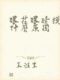 眼花眼睛模糊是什么原因封面