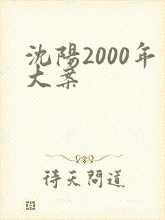沈阳2000年大案