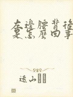 左边腰背后酸疼是怎么回事