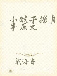 小猴子捞月亮故事原文
