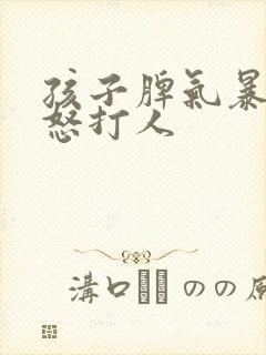 孩子脾气暴躁易怒打人封面