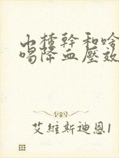 山楂干和啥泡水喝降血压效果好