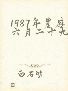 1987年农历六月二十九的命运