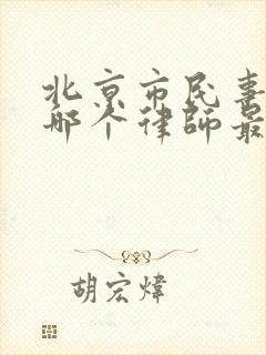 北京市民事案件哪个律师最厉害