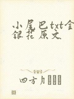 小尾巴txt金银花原文