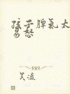 孩子脾气太暴躁易怒封面